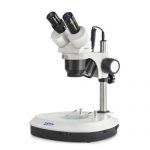Microscopio estereoscópico OSF-5 Microscopio estereoscópico OSF-5 Microscopio estereoscópico OSF-5 img osf 527 mod 150x150